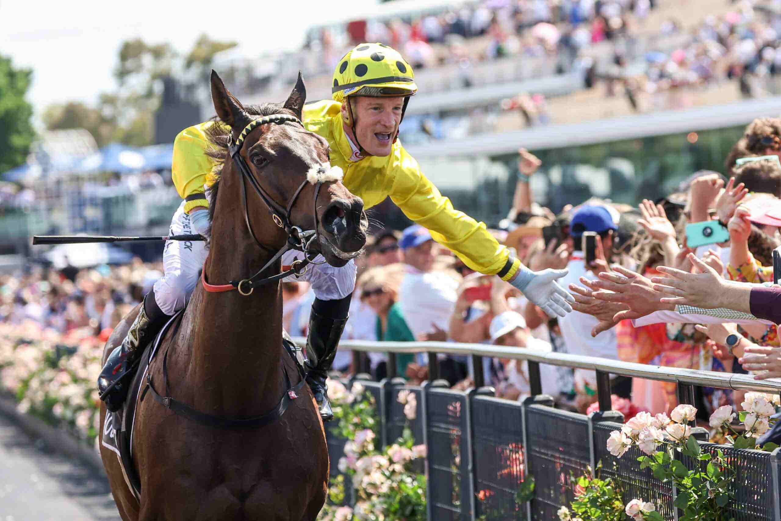 Horse Racing Events and Tour Packagesevents
