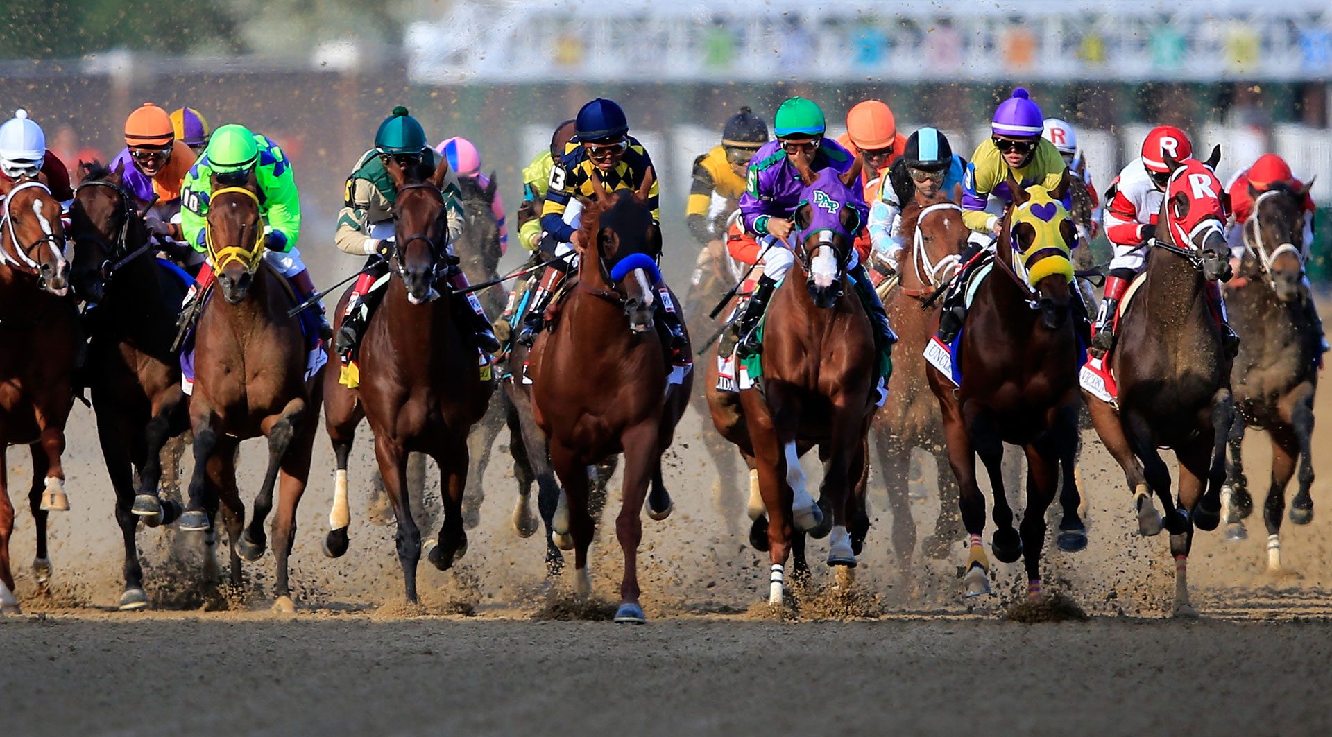 Horse Racing Events and Tour Packagesevents
